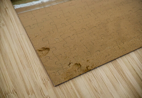 Bird on the Beach Jimmy Roy Photos puzzle