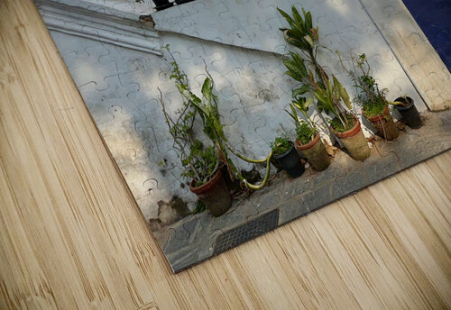 Vasco is not Home Jimmy Roy Photos puzzle