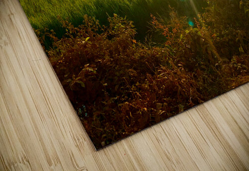 Sunset Over the Field Jimmy Roy Photos puzzle