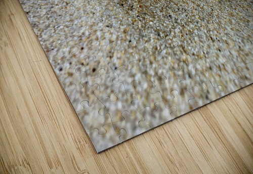 Crab on the Beach 2 Jimmy Roy Photos puzzle