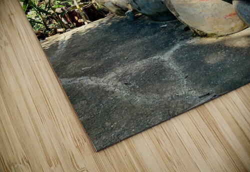 Behind the House Jimmy Roy Photos puzzle