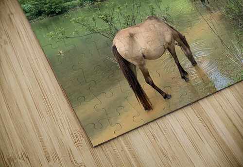 Horses in Paradise Jimmy Roy Photos puzzle