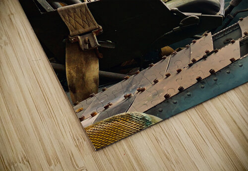 Inside the Helicopter Jimmy Roy Photos puzzle