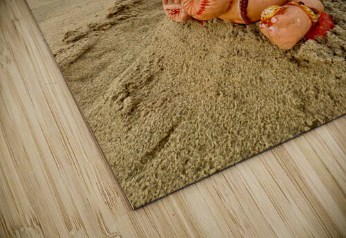 Ganesh on the Beach Jimmy Roy Photos puzzle