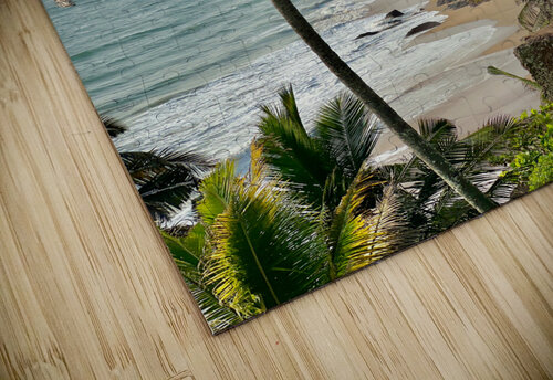 Palm Trees by the Beach Jimmy Roy Photos puzzle