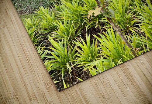 City Under the Bridge Jimmy Roy Photos puzzle