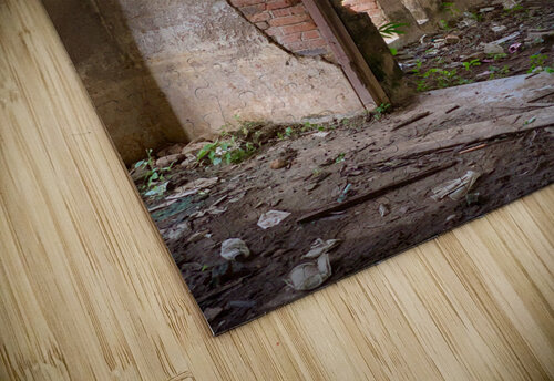 Goat by the Door Jimmy Roy Photos puzzle