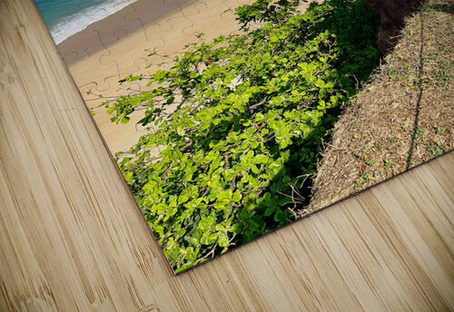 Beach from the Cliff Jimmy Roy Photos puzzle