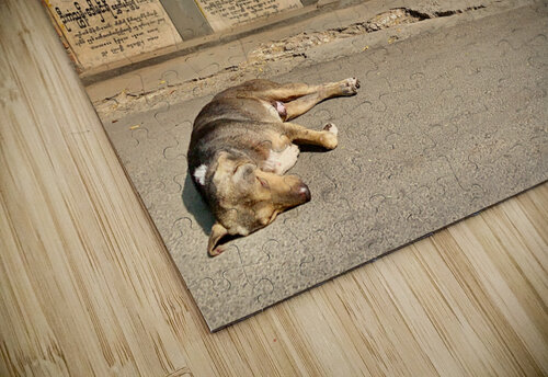 The Man and the Dog Jimmy Roy Photos puzzle