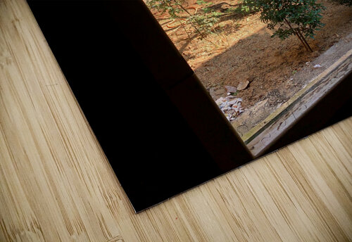 Tree by the Window 2 Jimmy Roy Photos puzzle