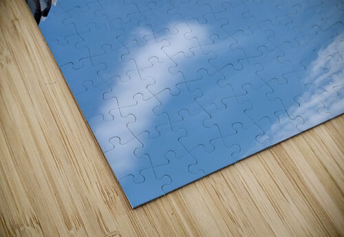 Seagull Look Jimmy Roy Photos puzzle