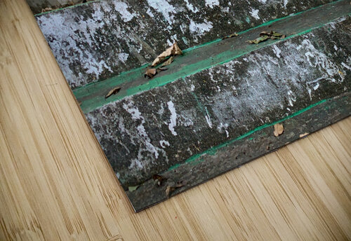 Puppy Walking Down Jimmy Roy Photos puzzle