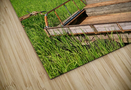 Follow the Arrow Jimmy Roy Photos puzzle