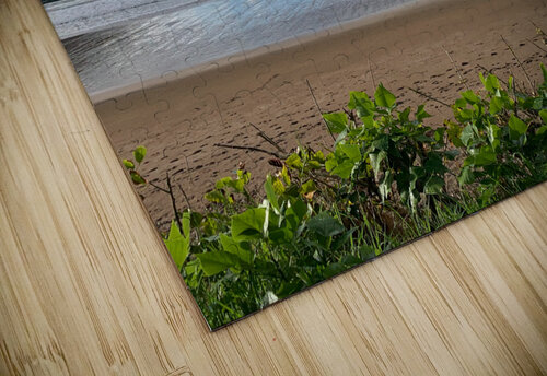 Half Nice Half Rain 3 Jimmy Roy Photos puzzle