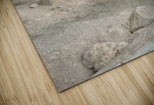 Hiding Little Girl Jimmy Roy Photos puzzle