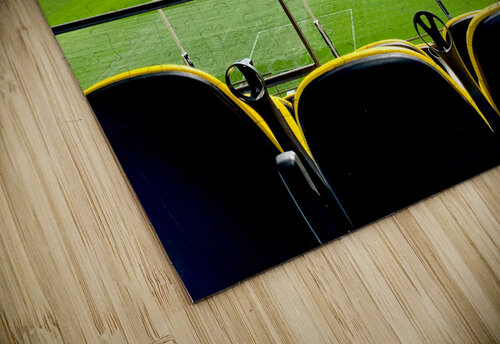 Australian Football Stadium Jimmy Roy Photos puzzle