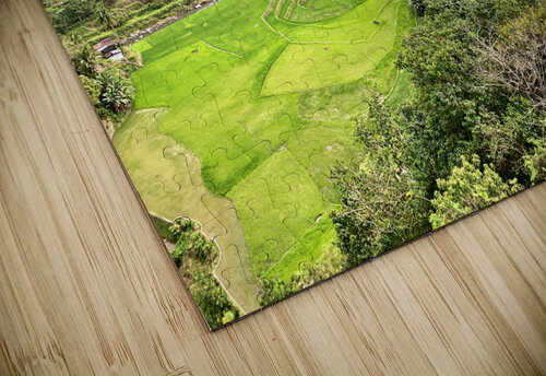 Rice Valley Jimmy Roy Photos puzzle