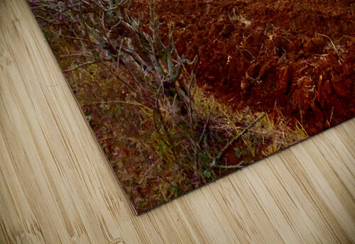 Sunset Over the Red Soil  Jimmy Roy Photos puzzle