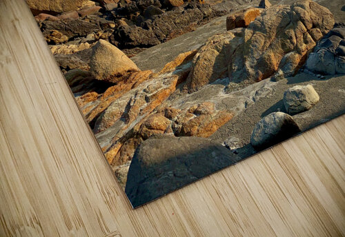 Rocky Beach Jimmy Roy Photos puzzle