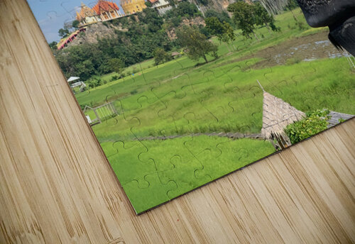 Water Buffalo Head in front of Temple Jimmy Roy Photos puzzle