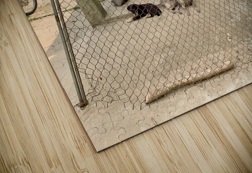 Behind the Crooked Fence Jimmy Roy Photos puzzle