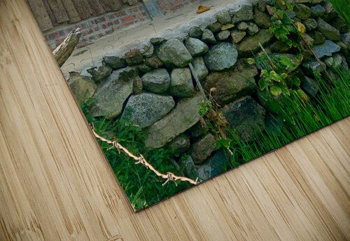 House in the Rice Fields Jimmy Roy Photos puzzle