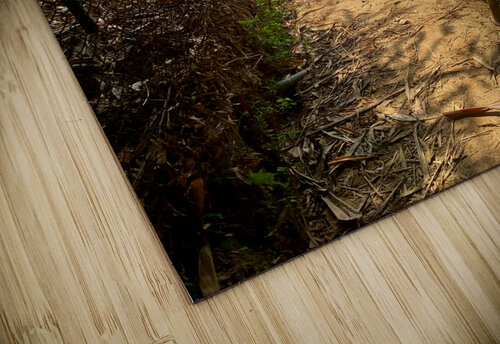 Enter the Rice Fields Jimmy Roy Photos puzzle