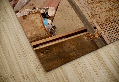 The Cat Living in the Ambulance Jimmy Roy Photos puzzle