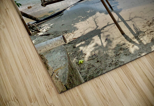 Swing on the Beach Jimmy Roy Photos puzzle