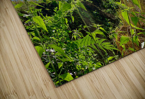 Working the Rice Fields Jimmy Roy Photos puzzle