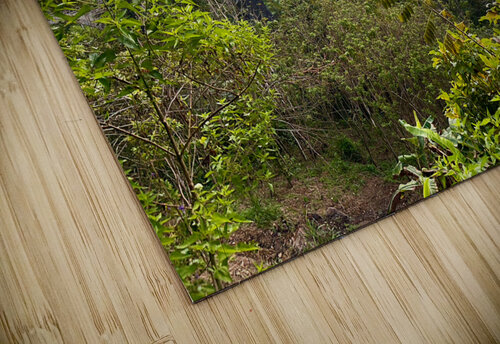 9 Arch Bridge Ella Jimmy Roy Photos puzzle