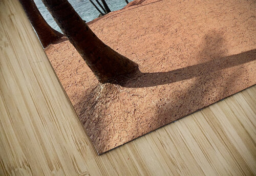 Coconut Hill Jimmy Roy Photos puzzle