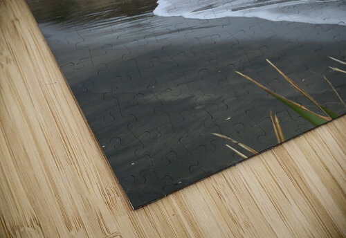 Black Sand on the Coast Jimmy Roy Photos puzzle