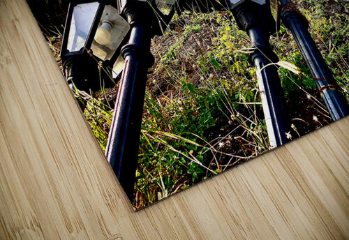 Falling Lamp posts  for the Sunset Jimmy Roy Photos puzzle