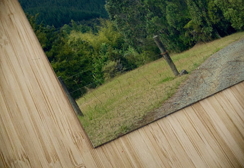 Nice View Down There Jimmy Roy Photos puzzle