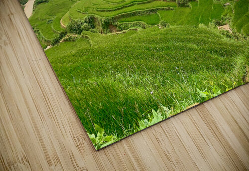 Rice Plateau Jimmy Roy Photos puzzle