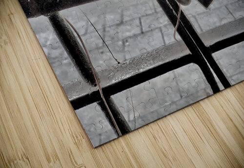 Locked Up Jimmy Roy Photos puzzle