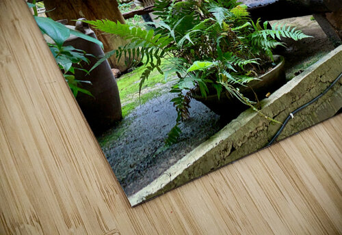 Zen House Jimmy Roy Photos puzzle