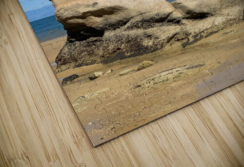 Tree Over The Rock Jimmy Roy Photos puzzle