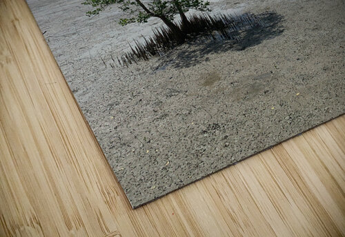 The Tree Jimmy Roy Photos puzzle