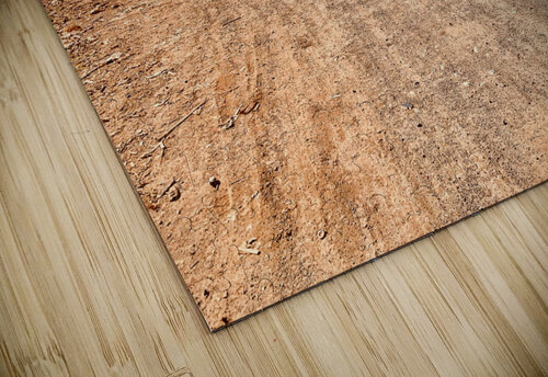 Follow the Dirt Road Jimmy Roy Photos puzzle