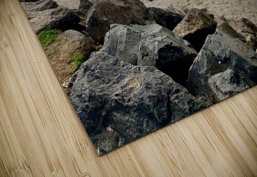 Art Design on the Beach Jimmy Roy Photos puzzle