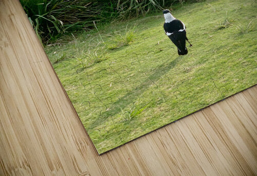 Bird Looking at the Bridge Jimmy Roy Photos puzzle