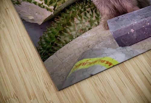 Furry Puppy Jimmy Roy Photos puzzle