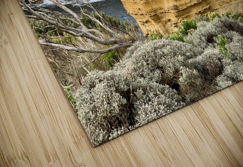 Great Ocean Road 4 Jimmy Roy Photos puzzle
