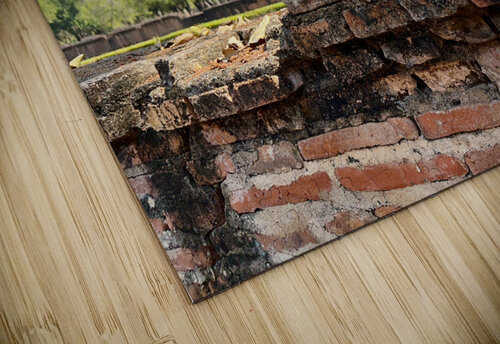 Nature Behind the Wall Jimmy Roy Photos puzzle