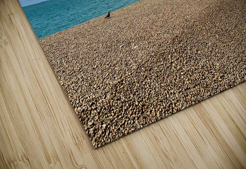 Nice Color Beach Jimmy Roy Photos puzzle