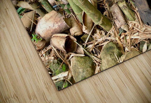 Thinking Wooden Sculpture Jimmy Roy Photos puzzle