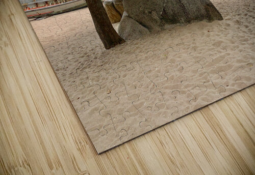 Tree on the Beach Jimmy Roy Photos puzzle