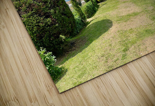 View from Pari Mahal Srinagar 2 Jimmy Roy Photos puzzle